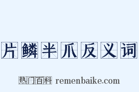 片鳞半爪反义词是什么意思的图片